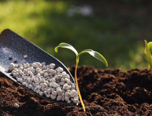 PFER – Introducción de partida experimental de fertilizantes